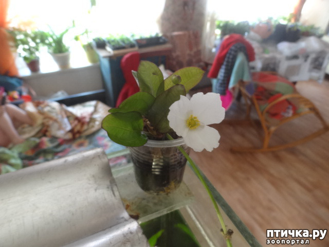 ���� 4: �������������