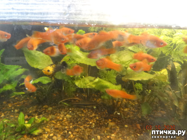 ���� 3: �������������