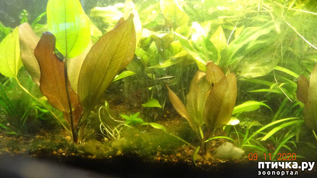 ���� 5: �������������