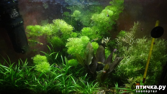 ���� 6: �������������