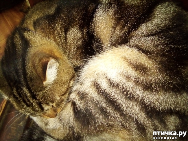 ���� 5: ��� ��� � ����� ������.