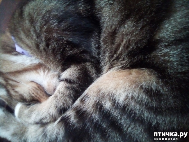 ���� 6: ��� ��� � ����� ������.