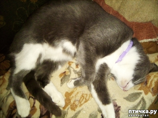 ���� 7: ��� ��� � ����� ������.