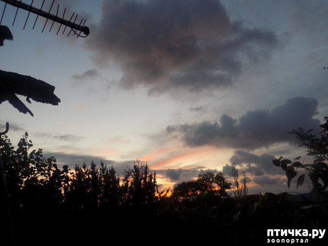 ���� 9: ��� ��� � ����� ������.