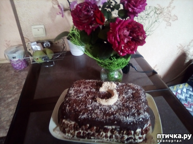 ���� 18: ��� ��� � ����� ������.