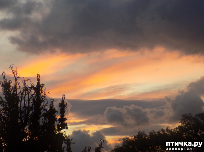 ���� 10: ��� ��� � ����� ������.