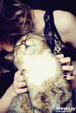 ����: ����! ��� �����)))