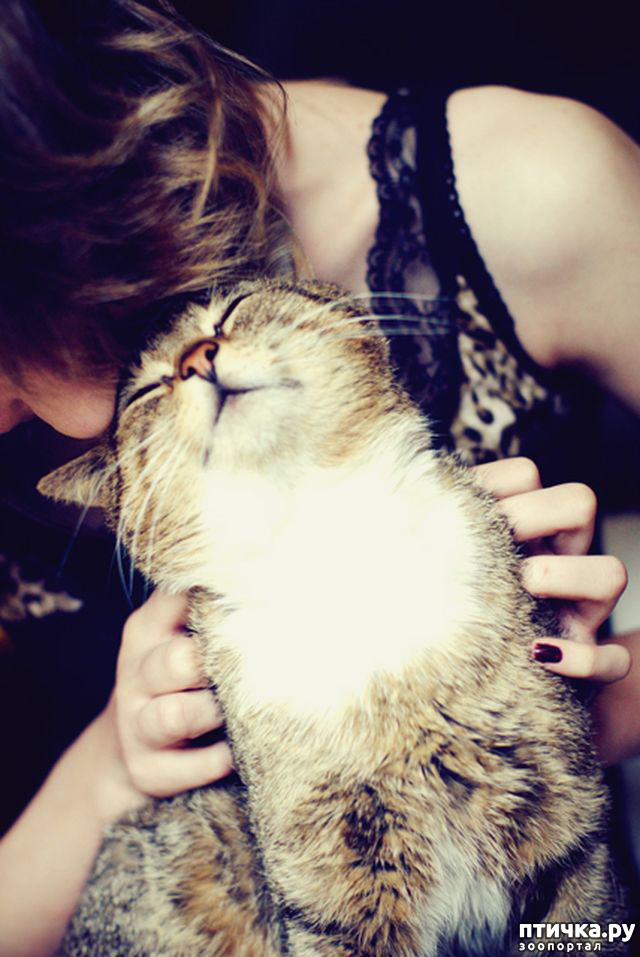 ���� 1: ����! ��� �����)))