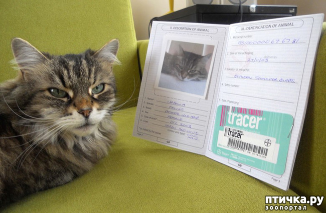 ���� 2: ����! ��� �����)))