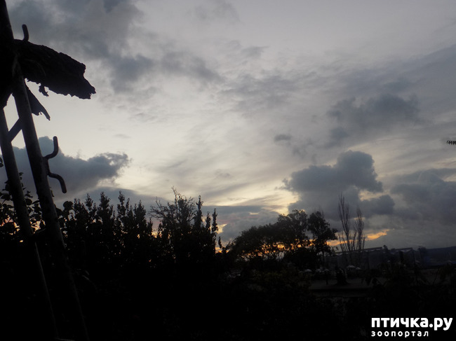 ���� 11: ��� ��� � ����� ������.