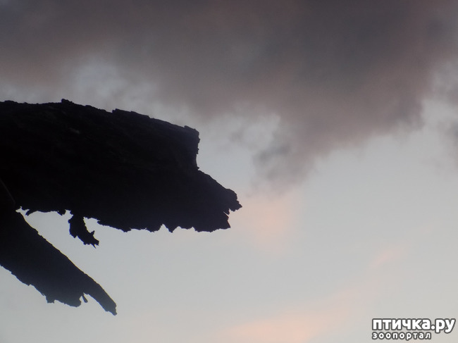 ���� 12: ��� ��� � ����� ������.