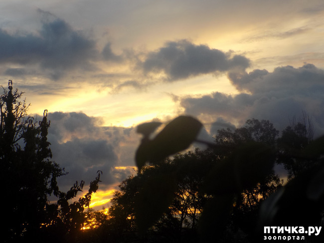 ���� 13: ��� ��� � ����� ������.