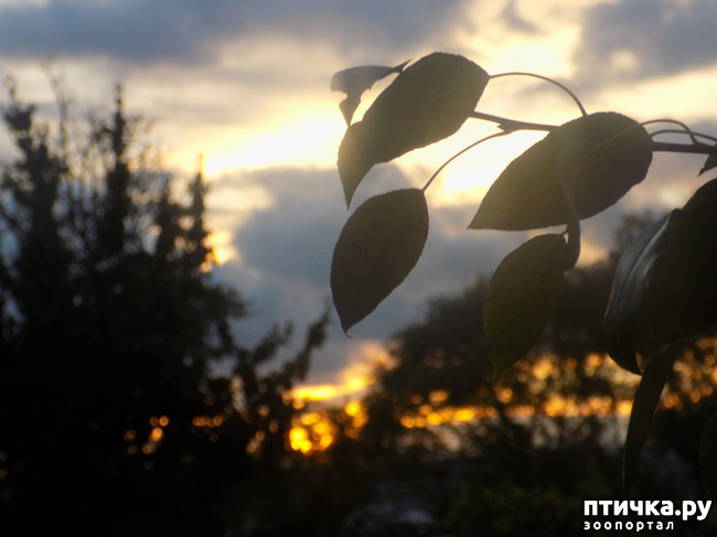 ���� 14: ��� ��� � ����� ������.