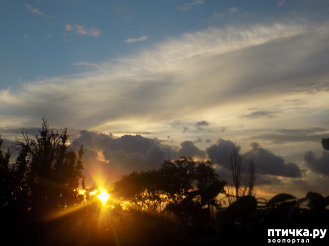 ���� 15: ��� ��� � ����� ������.