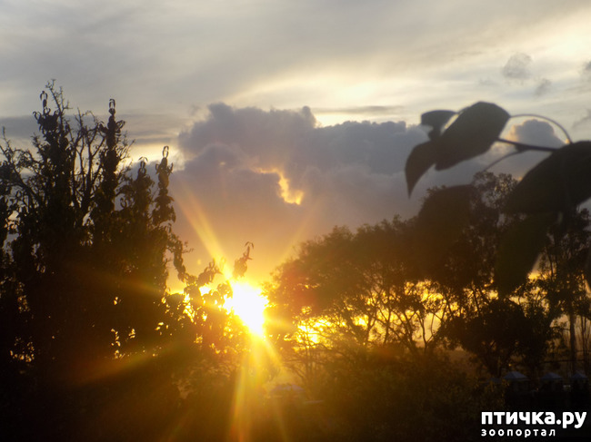 ���� 16: ��� ��� � ����� ������.