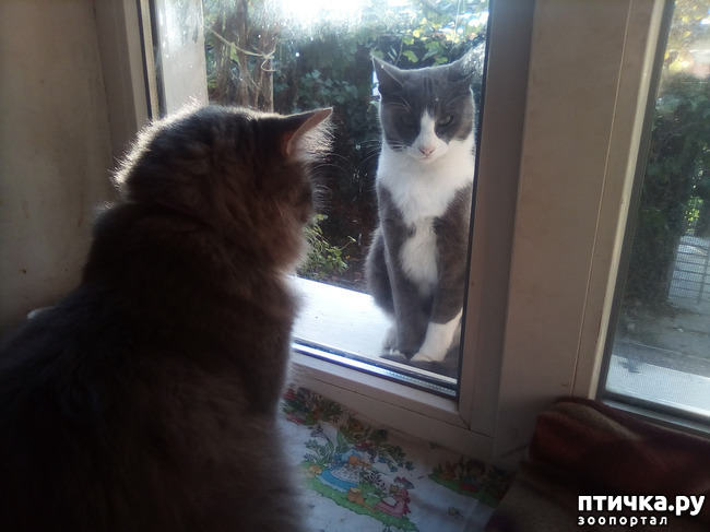 ���� 17: ��� ��� � ����� ������.