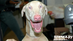 ����: ������� �� ����������...