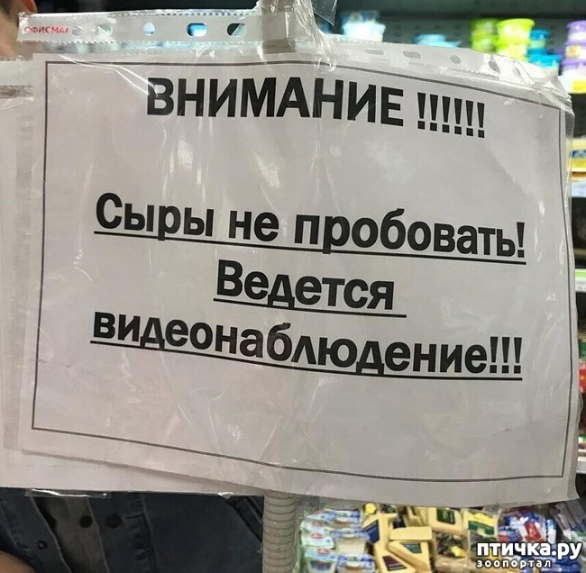 ���� 2: ������� �� ����������...