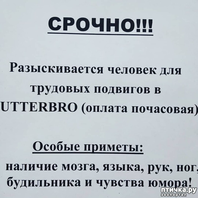 ���� 5: ������� �� ����������...