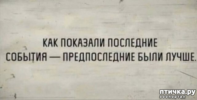 ���� 6: ������� �� ����������...