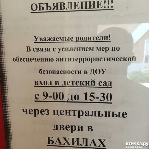 ���� 7: ������� �� ����������...