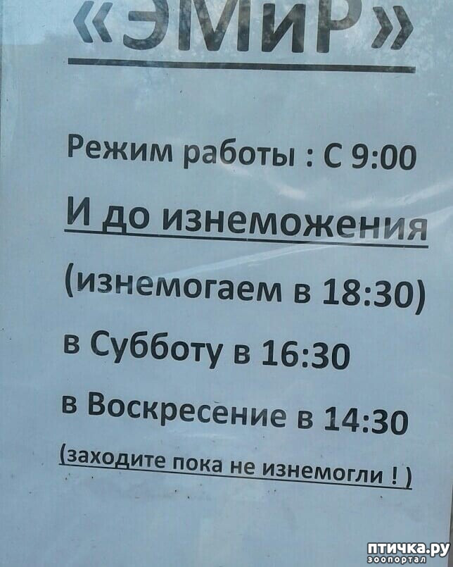 ���� 8: ������� �� ����������...