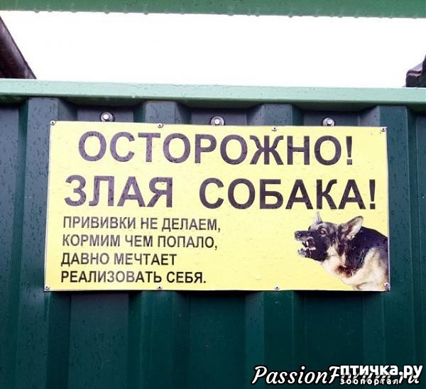 ���� 10: ������� �� ����������...