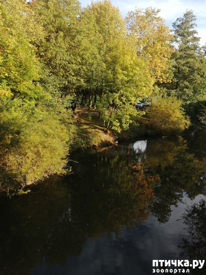 ����: �������� ����� ����.