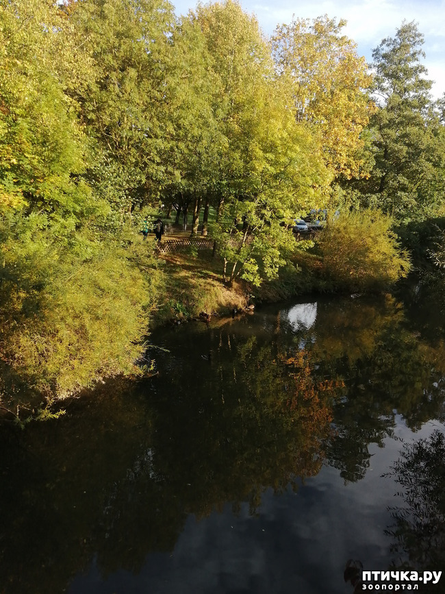 ���� 1: �������� ����� ����.