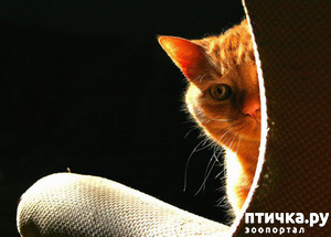 ����: �������� �� ������� ����, ������ ��� ��� ���� ��???