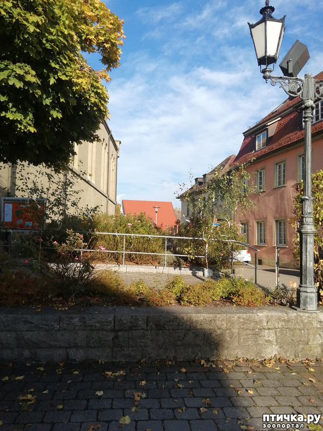 ���� 4: �������� ����� ����.