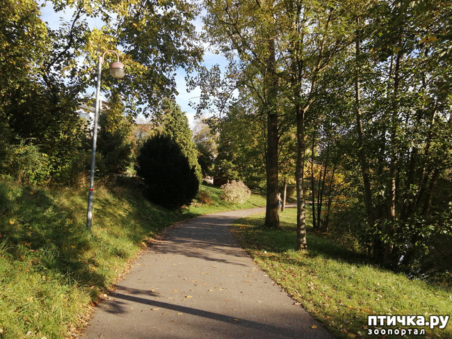 ���� 15: �������� ����� ����.