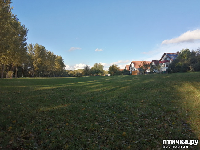 ���� 16: �������� ����� ����.