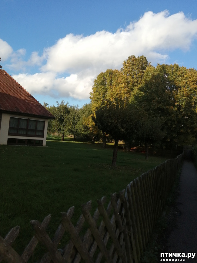 ���� 5: �������� ����� ����.