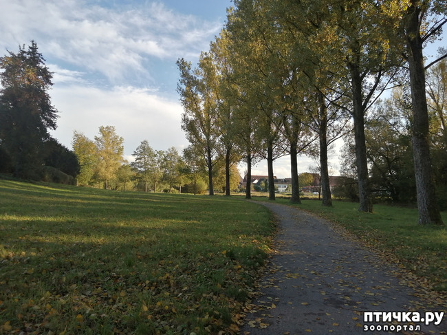 ���� 17: �������� ����� ����.