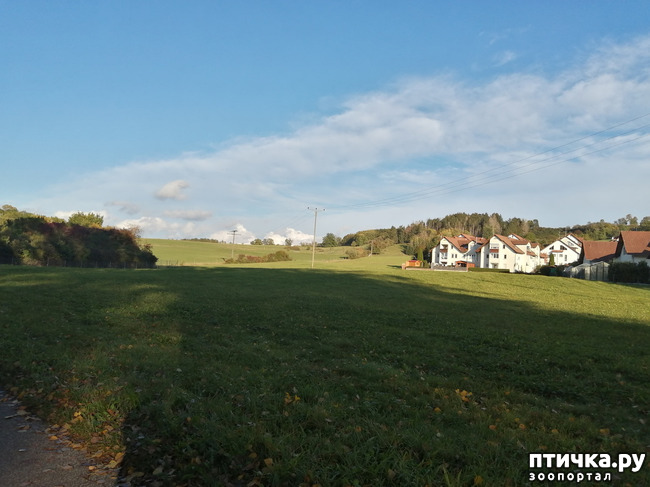 ���� 18: �������� ����� ����.