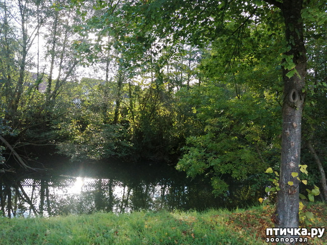 ���� 6: �������� ����� ����.