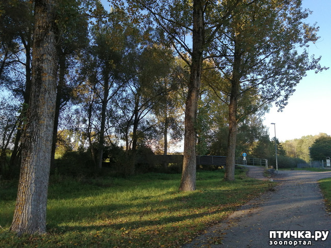 ���� 19: �������� ����� ����.