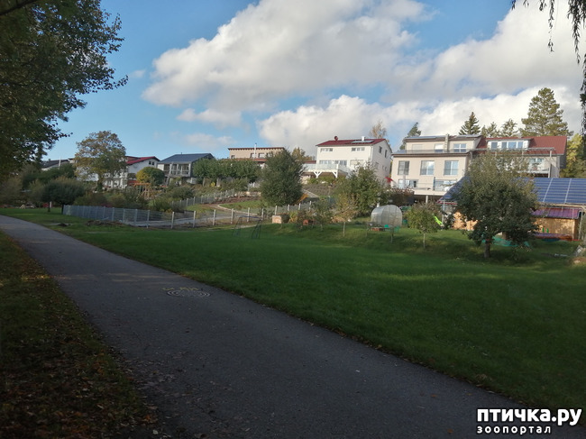 ���� 7: �������� ����� ����.