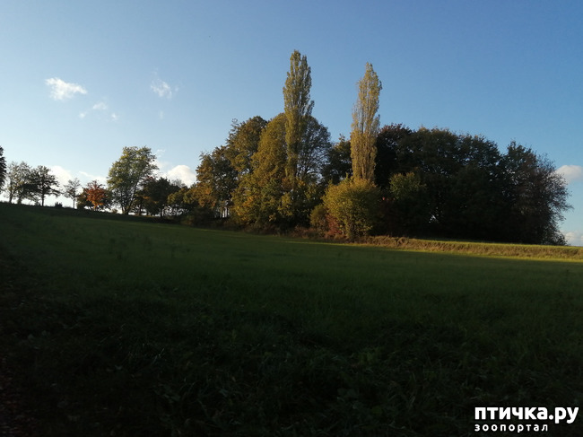 ���� 20: �������� ����� ����.