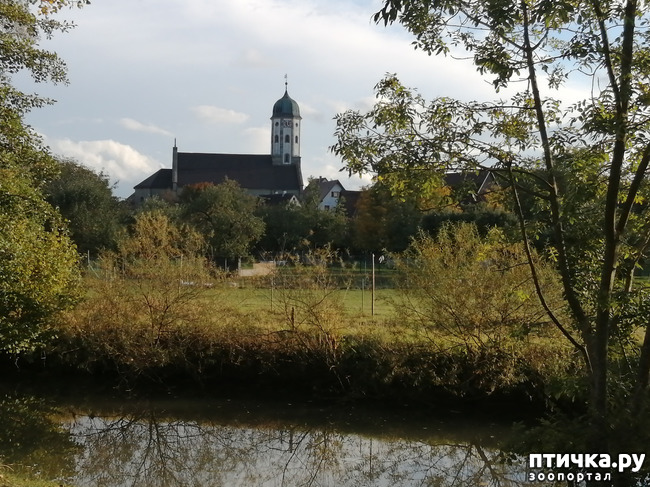 ���� 8: �������� ����� ����.