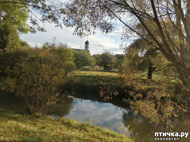 ���� 9: �������� ����� ����.