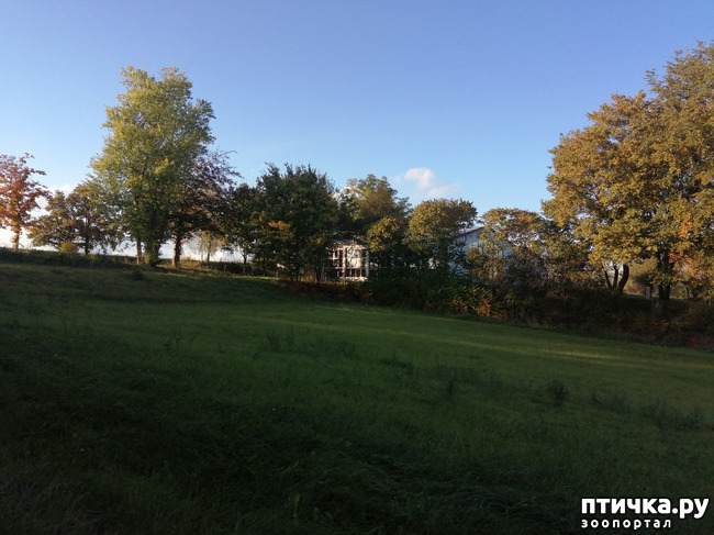 ���� 21: �������� ����� ����.