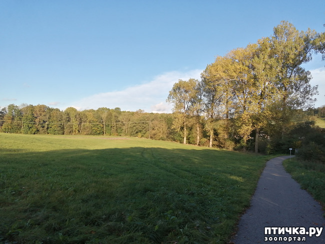 ���� 22: �������� ����� ����.