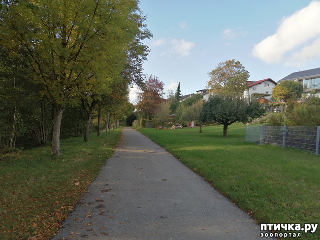 ���� 10: �������� ����� ����.