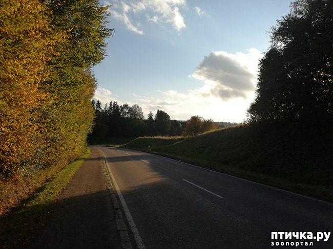 ���� 24: �������� ����� ����.