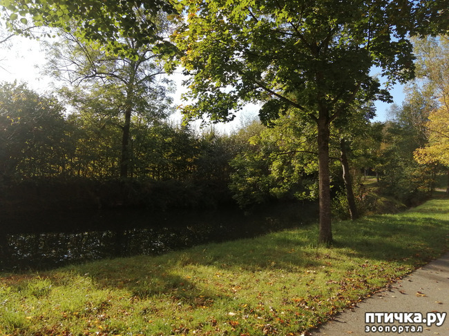 ���� 11: �������� ����� ����.