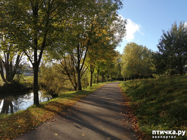 ���� 12: �������� ����� ����.