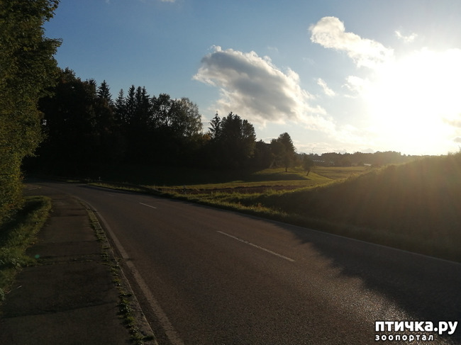 ���� 25: �������� ����� ����.