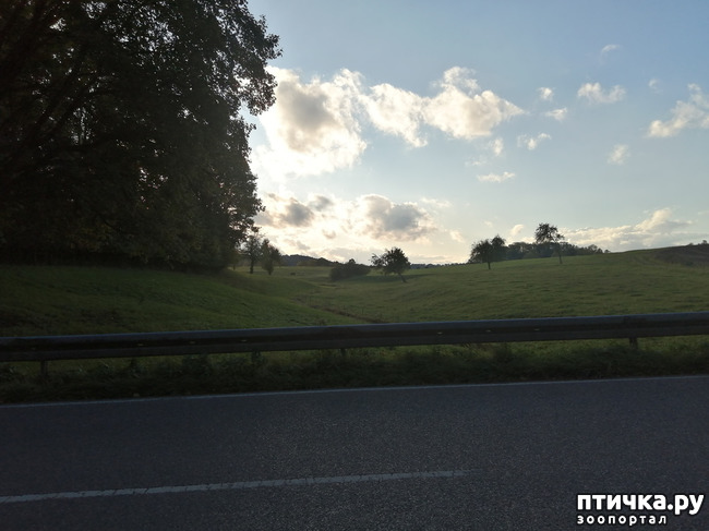 ���� 26: �������� ����� ����.